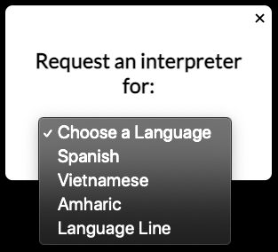 Interpreter Workflow 2